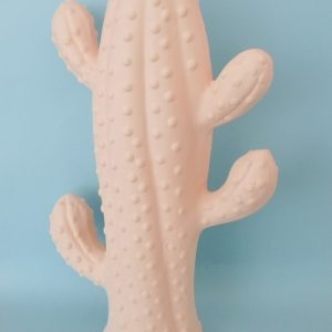 Cacto do Deserto, em Chacota
